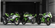 Kawasaki Ninja 300 30th Anniversary Edition