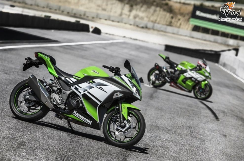 Kawasaki Ninja 300 30th Anniversary Edition