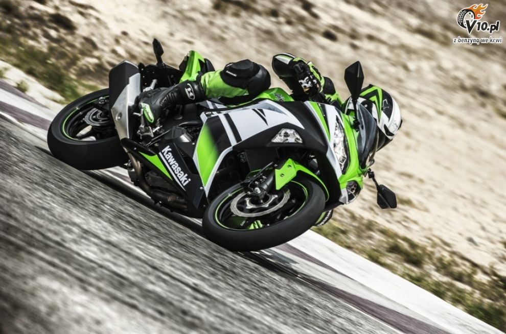 Kawasaki Ninja 300 30th Anniversary Edition