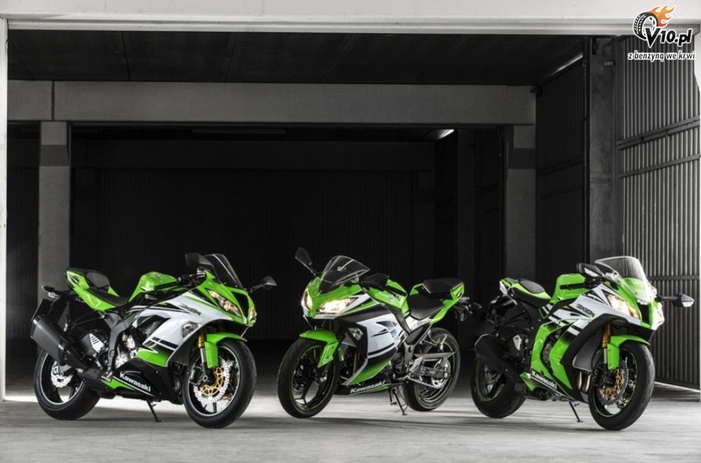 Kawasaki Ninja 300 30th Anniversary Edition