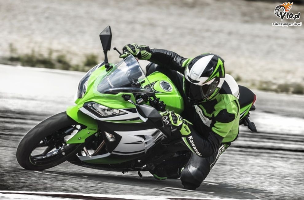 Kawasaki Ninja 300 30th Anniversary Edition