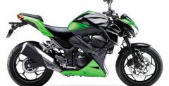 Kawasaki Ninja 250/300