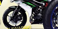 Kawasaki Ninja S2?