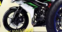 Kawasaki Ninja S2?