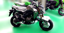 Kawasaki Z125 na 2016 rok?