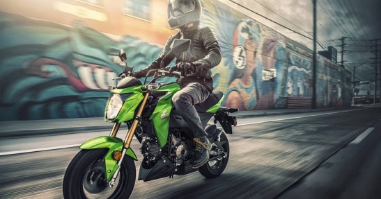 Kawasaki Z125 Pro na 2017 rok