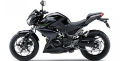Kawasaki Z250 na 2013 rok