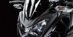 Kawasaki Z250 na 2013 rok