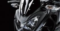 Kawasaki Z250 na 2013 rok