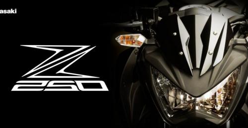 Kawasaki Z250 na 2013 rok