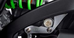 Kawasaki Ninja ZX-10R 30th Anniversary Edition