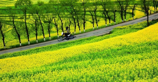 Suzuki DR200S na 2015 rok