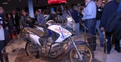 EICMA 2010