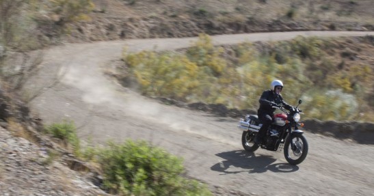 Triumph „Dobry rocznik w dobrej cenie”