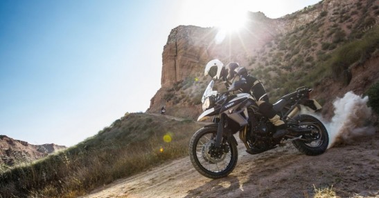 Triumph „Dobry rocznik w dobrej cenie”