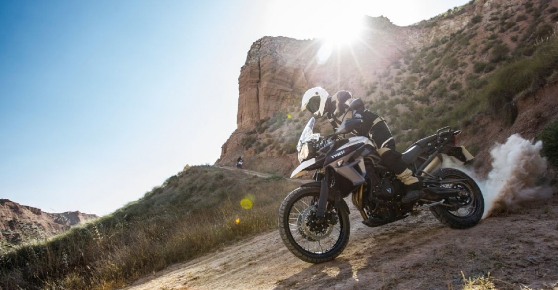 Triumph „Dobry rocznik w dobrej cenie”