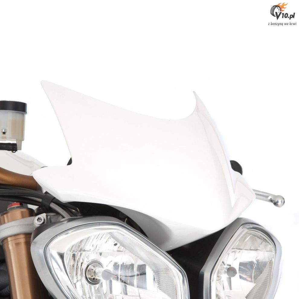 2011 Triumph Speed Triple 1050
