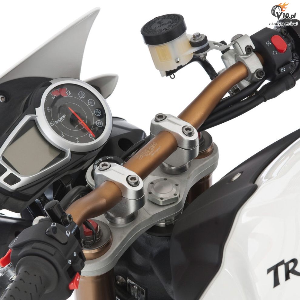 2011 Triumph Speed Triple 1050