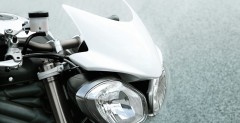2011 Triumph Speed Triple 1050