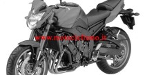 Yamaha FZ8 Naked