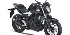 Yamaha MT-25 na 2016 rok