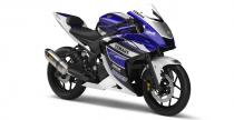 Yamaha R25 2014