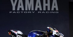 2010 Yamaha YZF R1 Sterilgarda