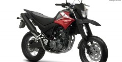 2010 Yamaha XT660X