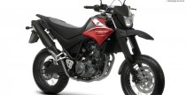 2010 Yamaha XT660X