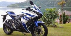 Yamaha YZF-R25 na 2014 rok