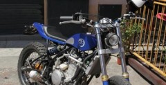 Zaeta 530