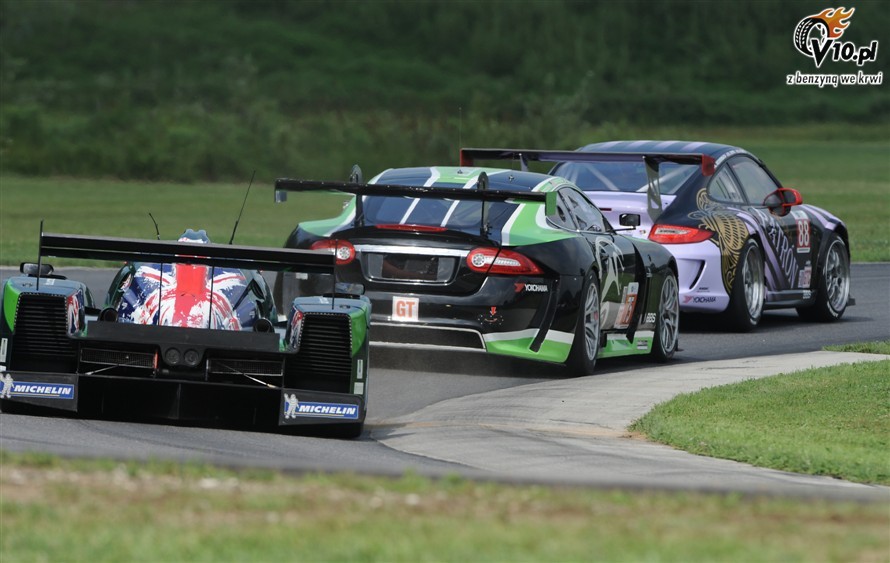 American Le Mans Series