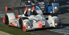ALMS 2013