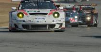 ALMS 2013