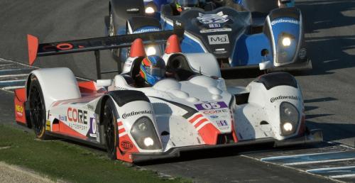 ALMS 2013