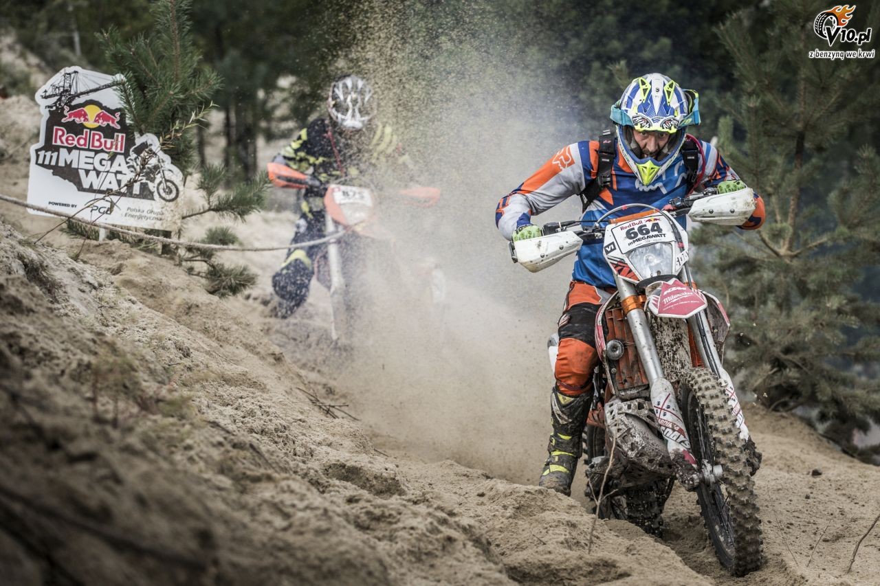 Red Bull 111 Megawatt 2017