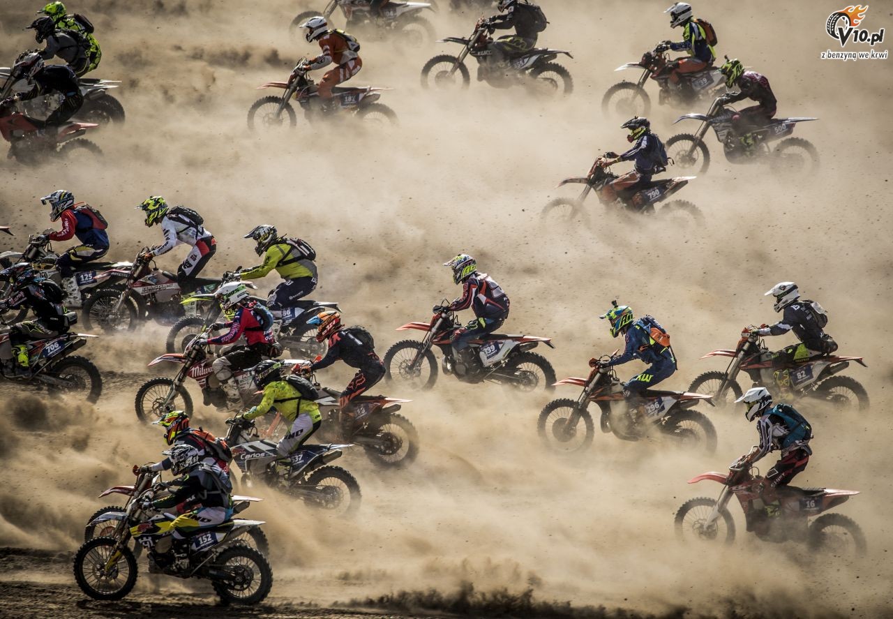 Red Bull 111 Megawatt 2018