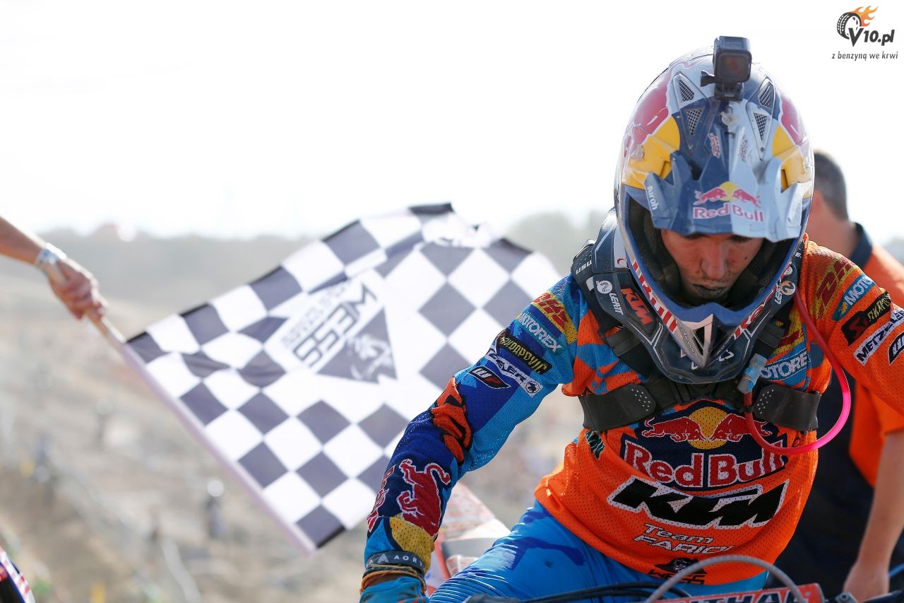 Red Bull 111 Megawatt 2018