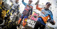 Red Bull 111 Megawatt 2015