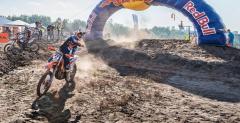 Red Bull 111 Megawatt 2014