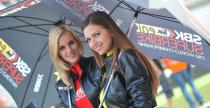 Grid Girls - padziernik 2014