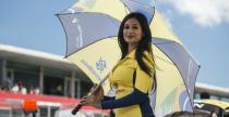 Grid Girls - wrzesie 2014