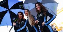 Grid Girls - listopad 2015