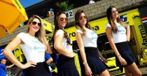 Grid Girls - listopad 2015