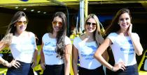 Grid Girls - listopad 2015