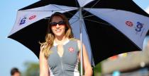 Grid Girls - listopad 2015