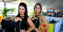 Grid Girls - listopad 2015