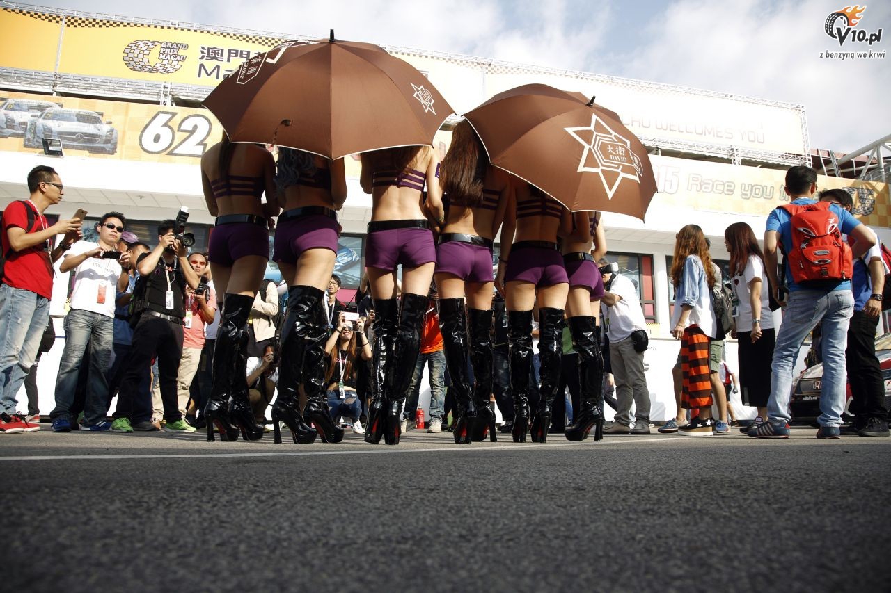 Grid Girls - listopad 2015