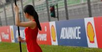 Grid Girls - padziernik 2015