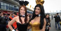 Grid Girls - październik 2015
